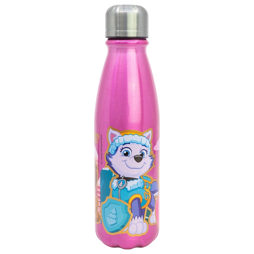 BOTELLA ALUMINIO INFANTIL 600 ML FROZEN