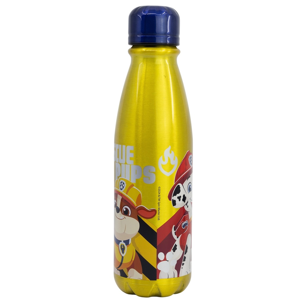 BOTELLA ALUMINIO INFANTIL 600 ML FROZEN