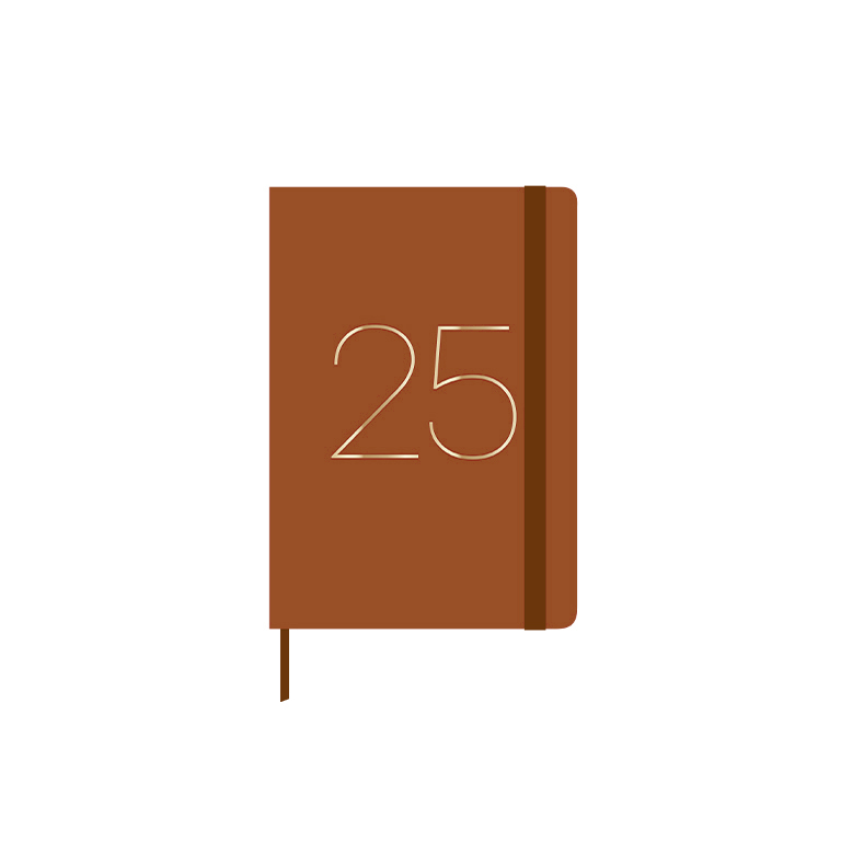 AGENDA ANUAL 2025 A6 SV NARAN.