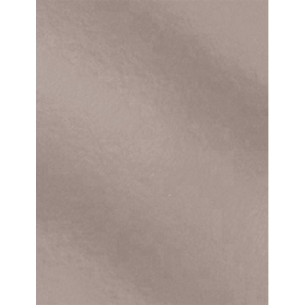 CARTULINA 50X65 METAL PLATA 10UD