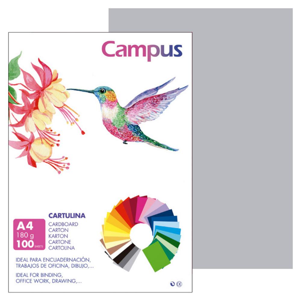 CARTULINA A4 MAKRO GRIS CLARO 180G 100UD