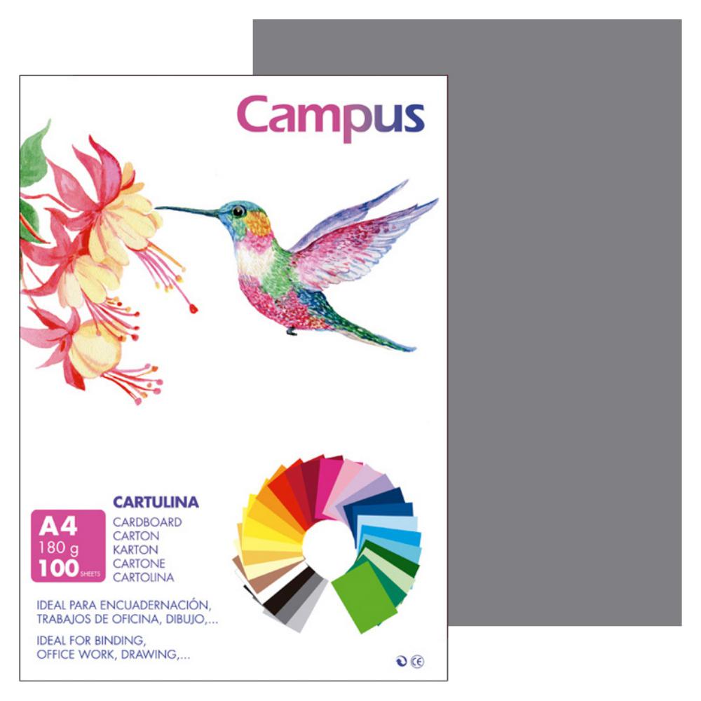 CARTULINA A4 MAKRO GRIS OSCURO 180G 100UD