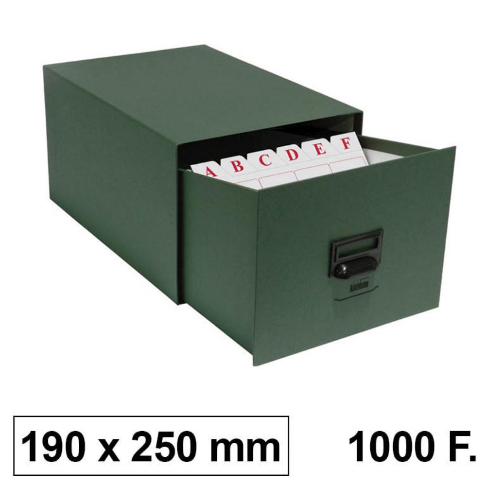 FICHERO CARTON 1000 5 185X245