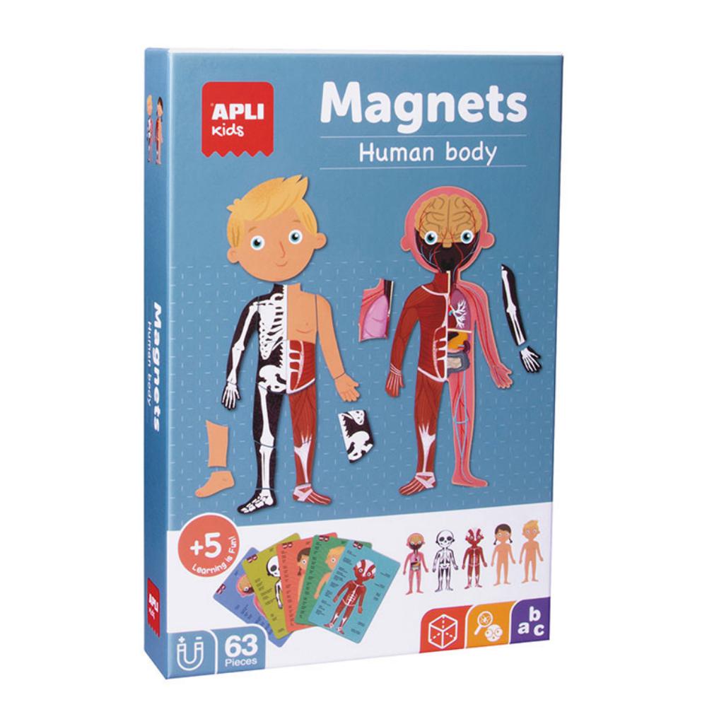 JUEGO EDUC.APLI MAGNETS CUERPO