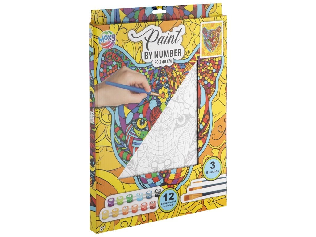 PAINT BY NUMBER CANVAS 150072