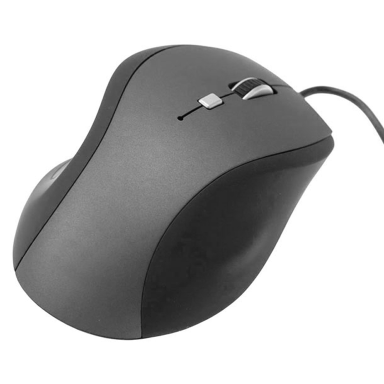 RATON C/CABLE OPTICO NG-GR 5 B