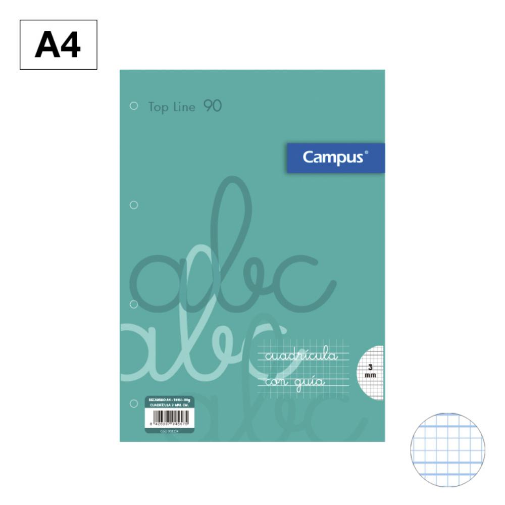 RECAMBIO A4 100H 90G 4T 3mm CM