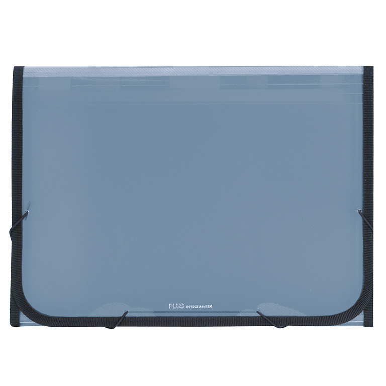 CLASIFICADOR PLUS PP GOMA 12DEPARTAMENTOS TRAS.AZUL GRIS