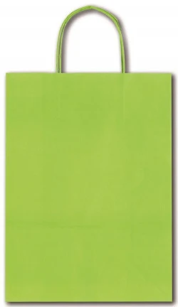 BOLSA ASA 36X12X41 VERDE LIMA