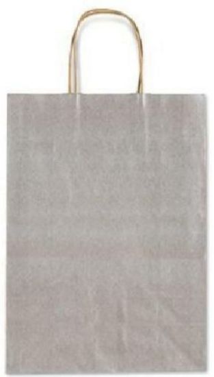 BOLSA ASA 26X12X36 PLATA