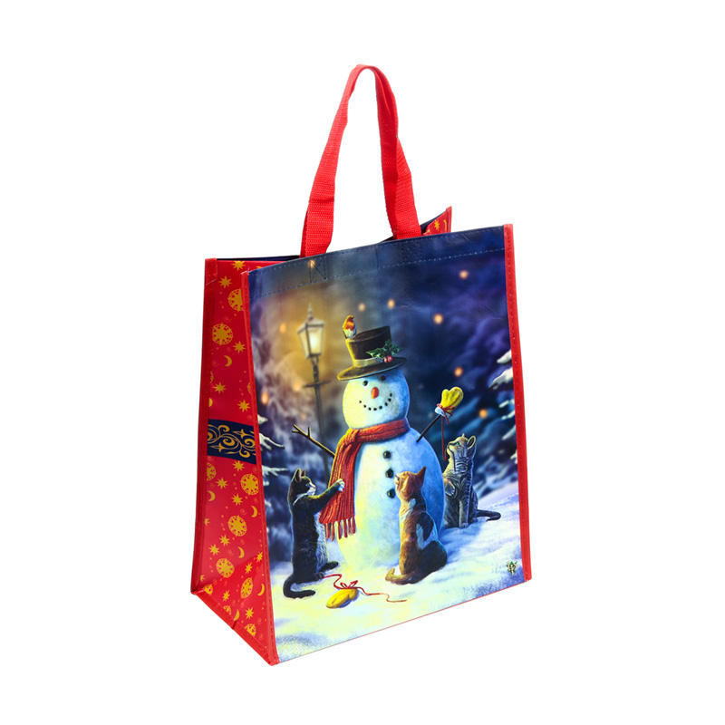 BOLSA DE LA COMPRA REUTILIZABLE NAVIDAD GATOS Y MUÑECO DE NIEVE LISA PARKER