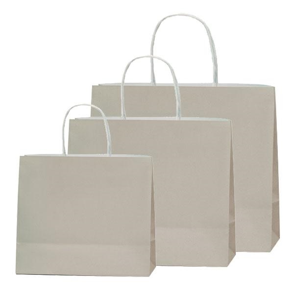 BOLSA KRAFT ALLEGRA COLOR GRIS 16x8X21CM