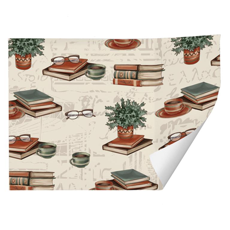 PAPEL DE REGALO ARGUVAL 70X100 LIBROS REF: 49717