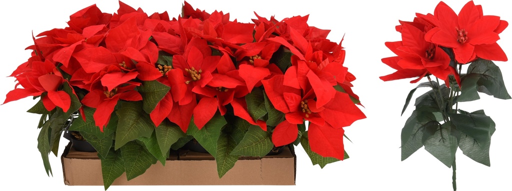 MACETA FLORES DE PASCUA 25CM