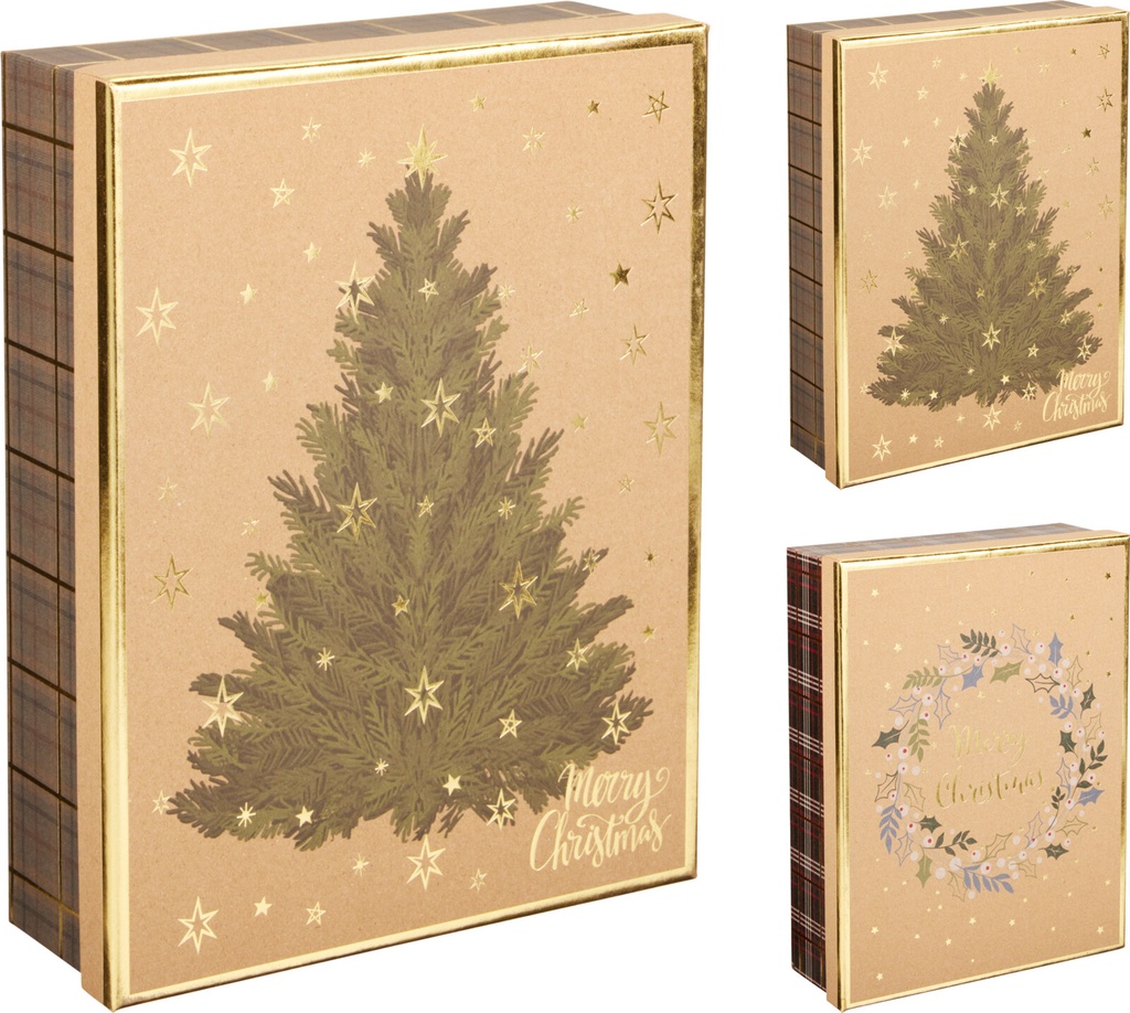 CAJA REGALO NAVIDAD 25CM 2MOD