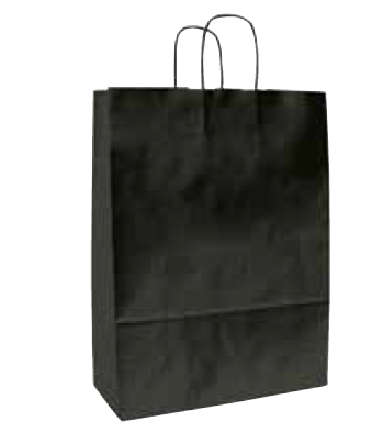 [702038] BOLSA ASA 18*25 NEGRO 91101518