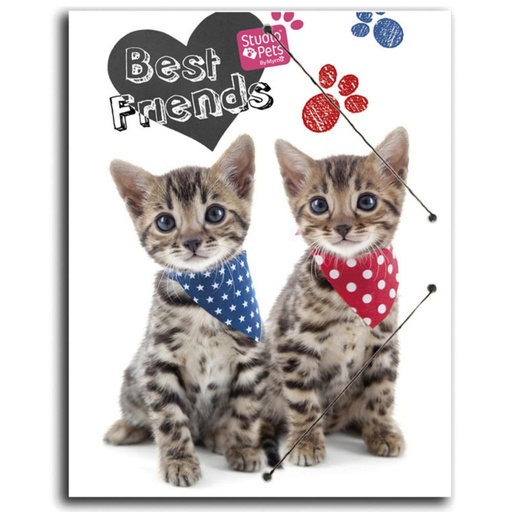 [765567] CARPETA PP A4 STUDIO PETS CAT