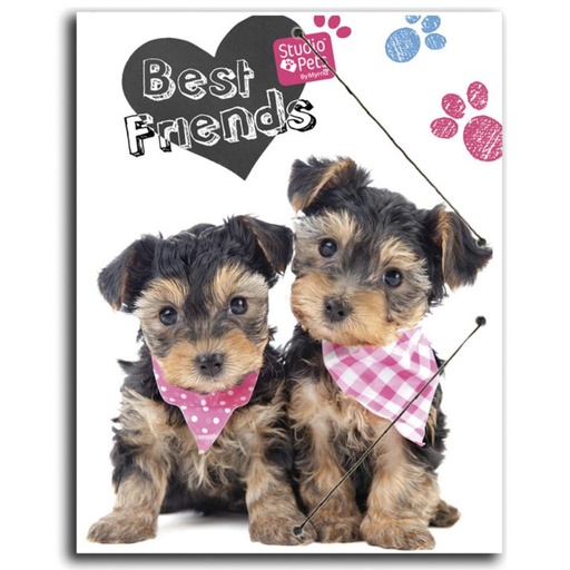 [765566] CARPETA PP A4 STUDIO PETS DOG