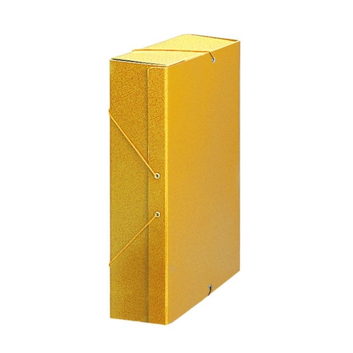 [180175] CARPETA PROYECTO KARMAN CARTON LOMO 90MM AMARILLO