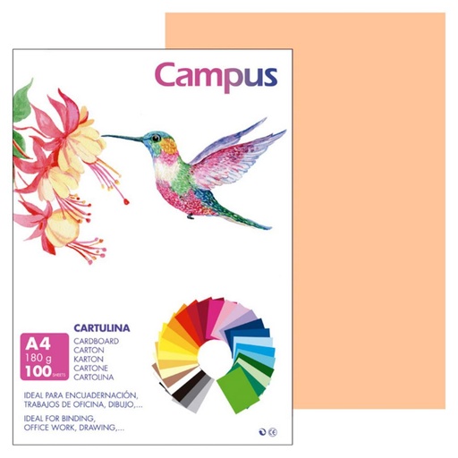 [220572] CARTULINA A4 MAKRO CARNE 180G 100UD
