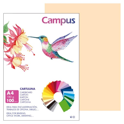 [220147] CARTULINA A4 MAKRO CREMA 180G 100UD
