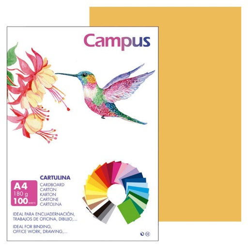 [220555] CARTULINA A4 MAKRO CUERO 180G 100UD