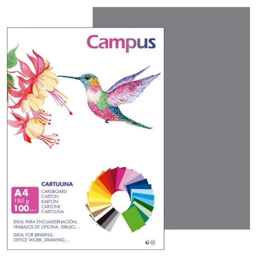 [220556] CARTULINA A4 MAKRO GRIS OSCURO 180G 100UD