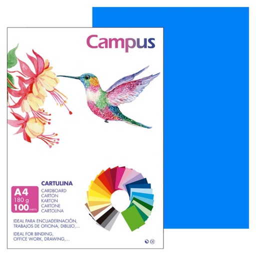 [220419] CARTULINA A4 MAKRO MALDIVAS 180G 100UD