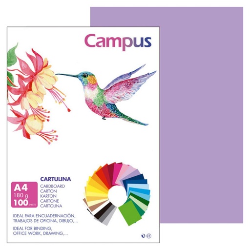 [220560] CARTULINA A4 MAKRO VIOLETA 180G