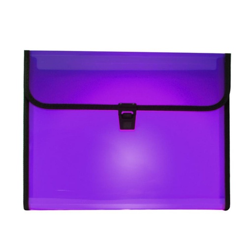 [180708] CLASIFICADOR PP.12DEP.BROCHE TRANS.VIOLETA