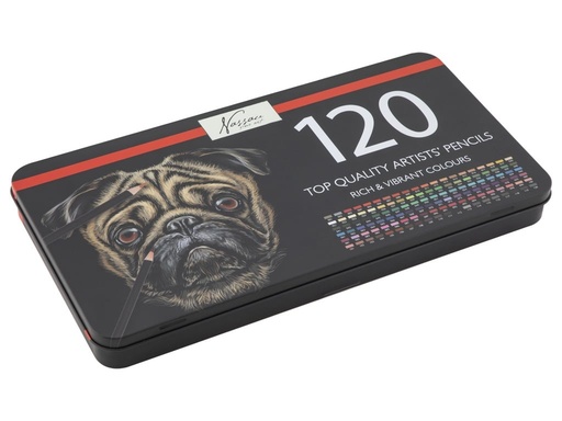 [600536] LAPICES COLORE.120UD AR0215/GE
