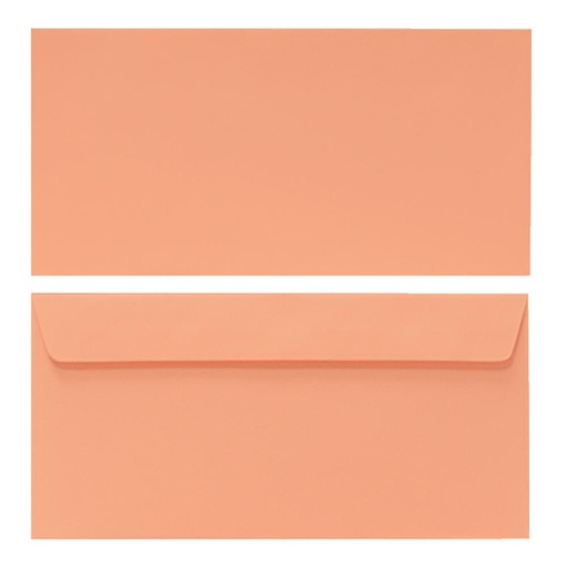 [029231] SOBRE COLOR 110*220 SALMON P/25
