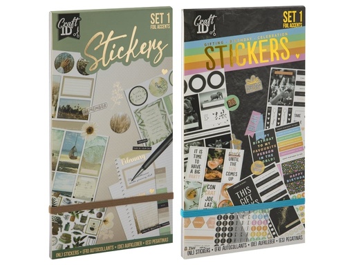[880483] LIBRO STICKERS SCRAP CR0921/23GE